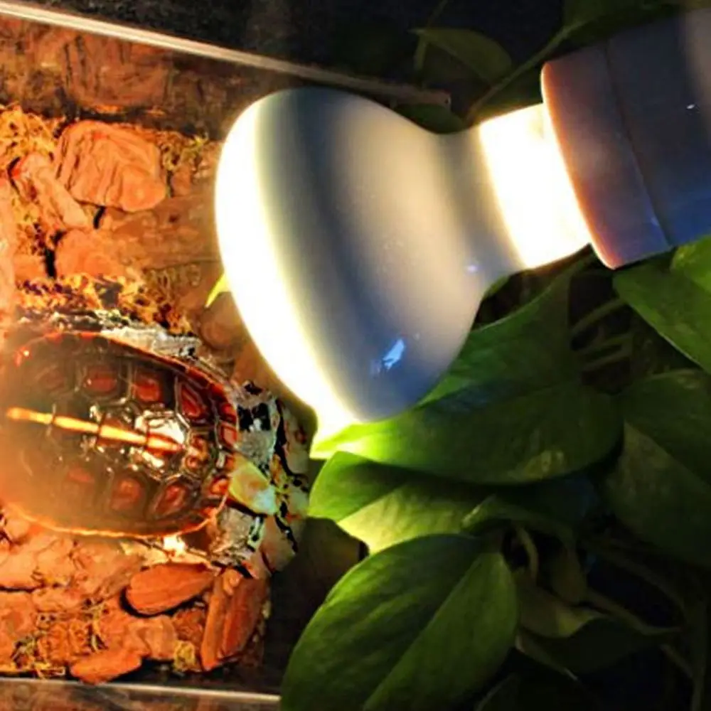 

Lizard Heater Temperature Controller Basking Light Halogen Bulb UVA Light Reptile