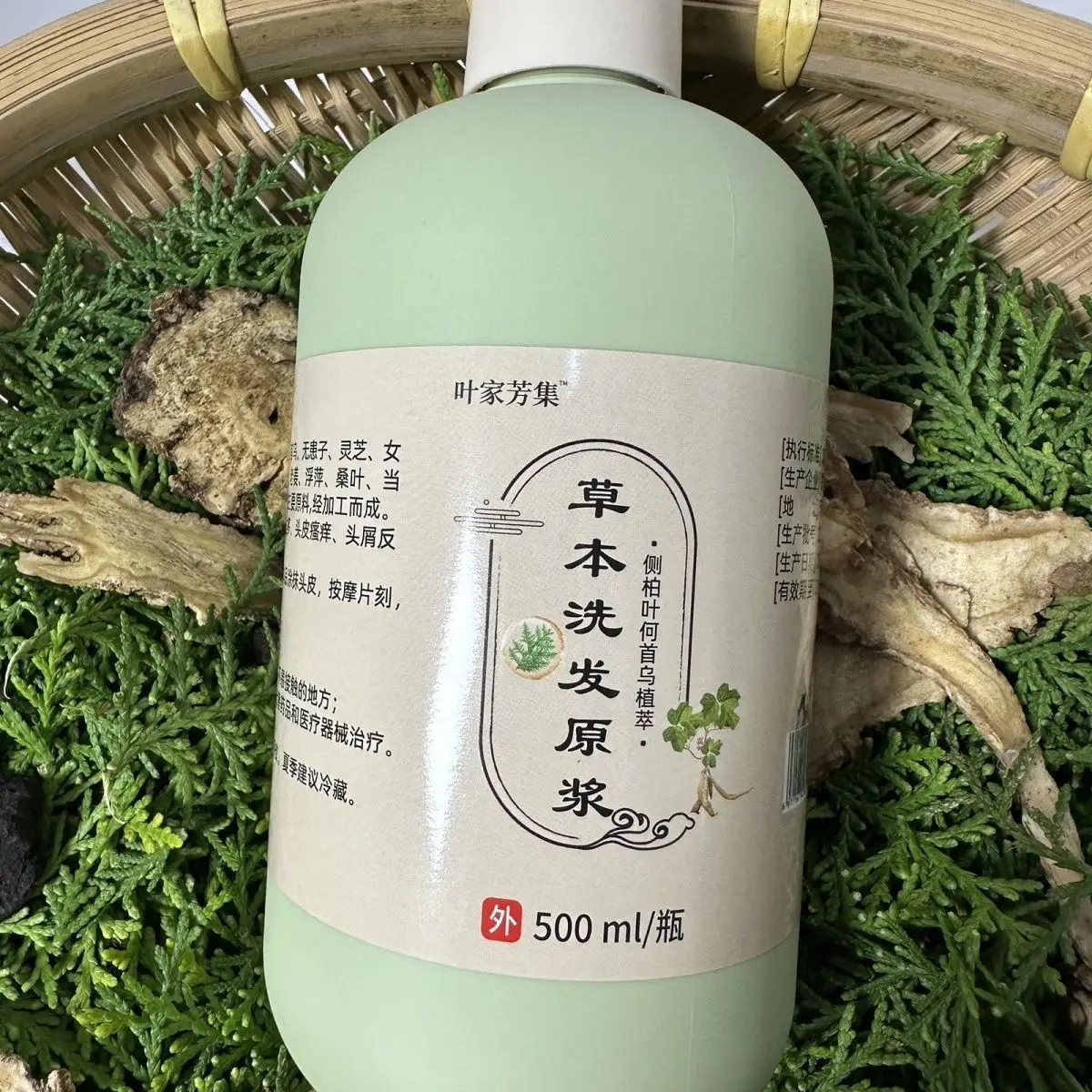 شامبو بيوتا آند فو تي المخمر يدويًا 500 مل، مضاد لتساقط الشعر والتحكم في الزيت مع مستخلص عشبي أصلي #1