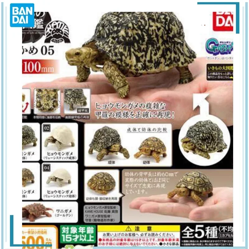 

BANDAI turtle Gashapon tortoise Figure Simulated turtle Mode Mantis Decoration Collectible Toys Kids Birthday Gift