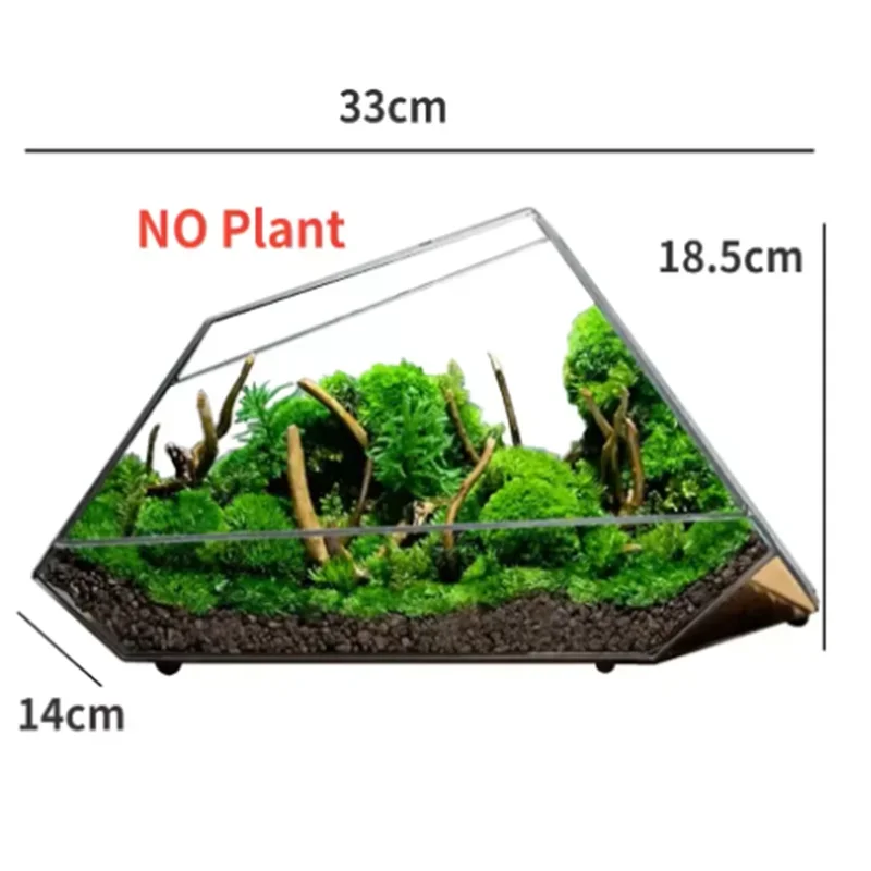 Micro Landscape Planter Moss Rainforest Tank Geometric Glass Flower Room Irregular Ecological Vase Succulent Water Plant Vase