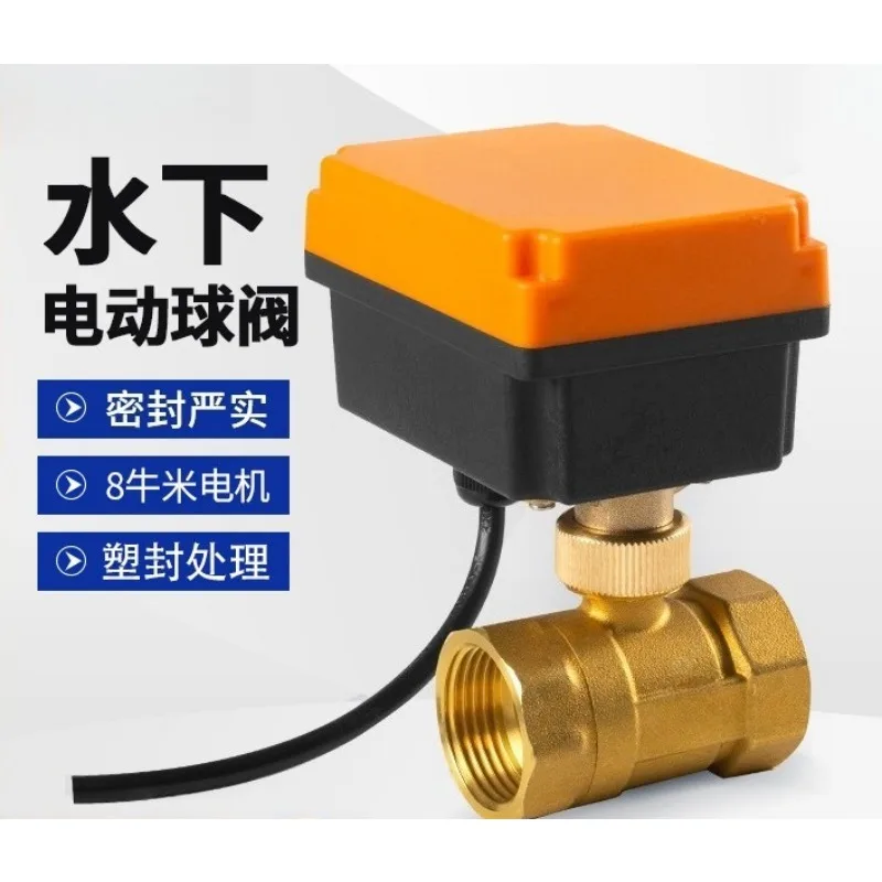 Underwater Waterproof Electric Ball Valve 220V 24V 12V 2 Way Threaded Pipe Control Valve Micro Motorized Water Valve