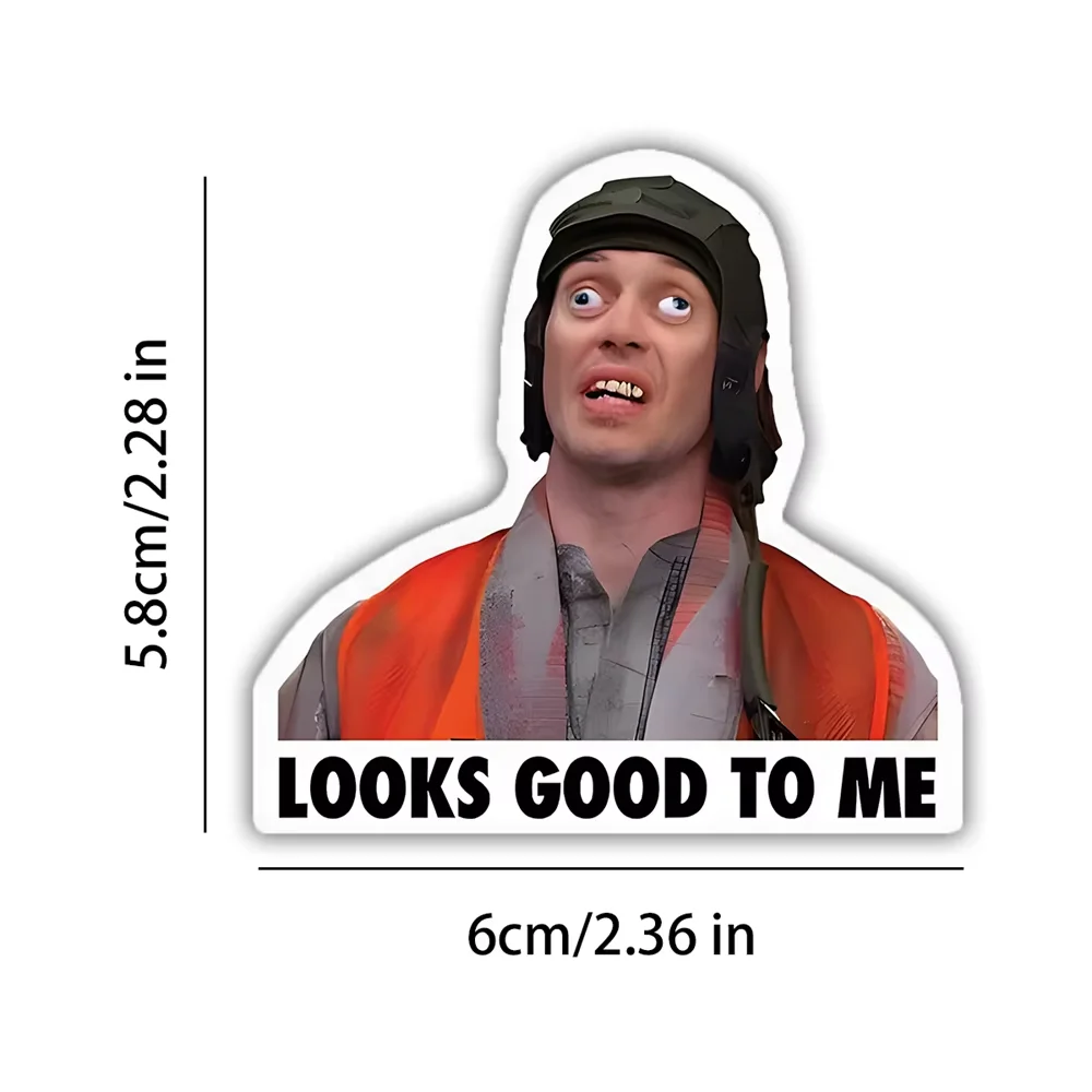 10 PCS Funny Sticker Hard Hat Sticker -Looks Good To Me Meme Vinyl Sticker Laptop Tumbler Book Suitable As A Gift For A Friend