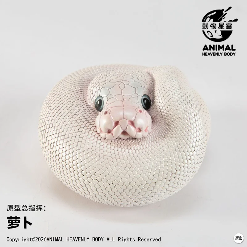 

Animal Nebula Chubby Buddies Ball Python Blue-Eyed Lucy Pastel Piebald Plus Gk Statue In Stock
