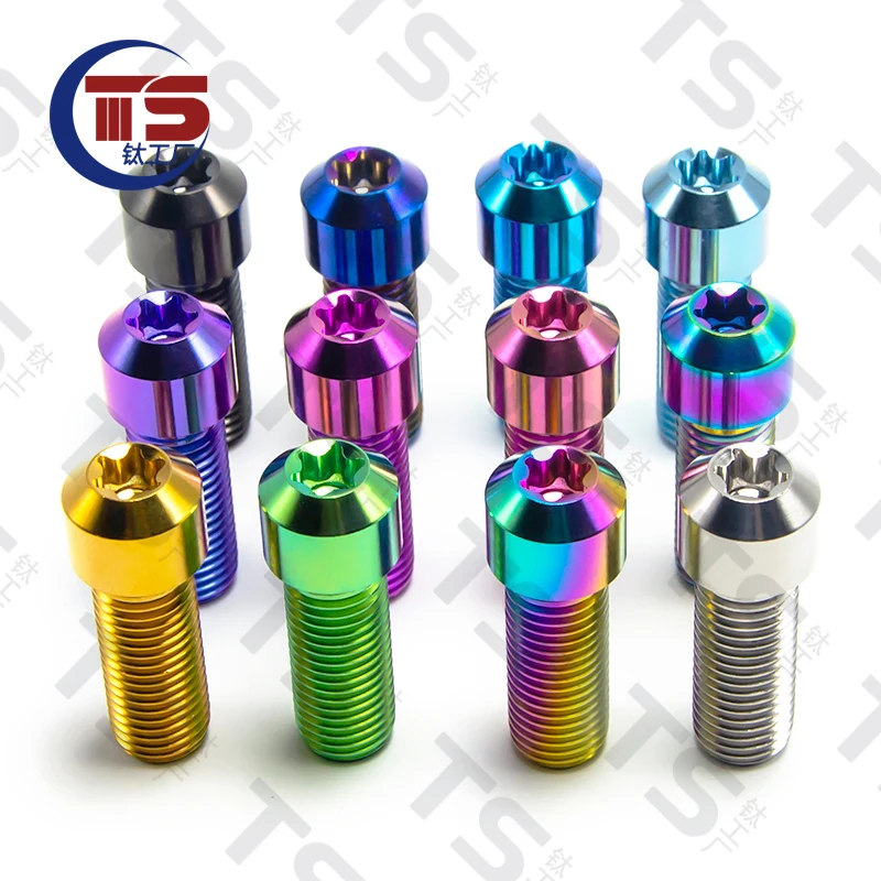 TS Titanium Factory GR5 Motorcycle Modification Positive and Negative Wire Small Cylinder M10X20/25/70mm