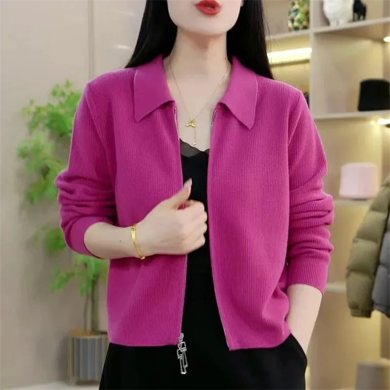 Spring Autumn Lady Knitting Cardigan Jacket Female Short Zipper Sweater Outerwear Women Solid Color Loose Fitting Knitwear Coat