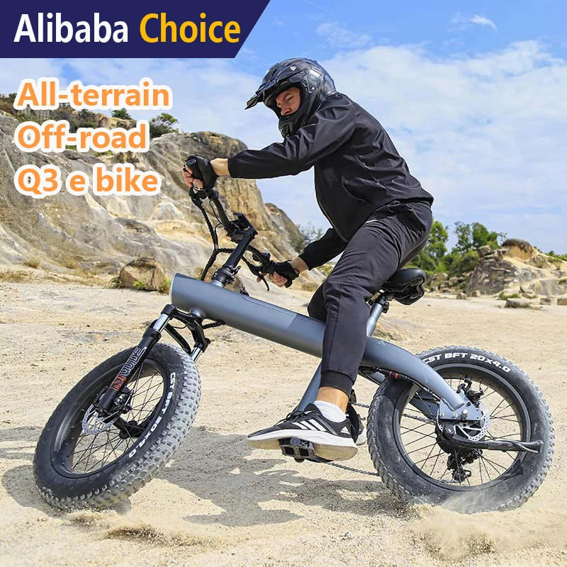 NEW Q3 Ebike 250W 750W Electric Dirt Bike Folding E Bike 48v 20 Inch High Speed Mountain Bicycle Fat Tire E Electric Bicycle