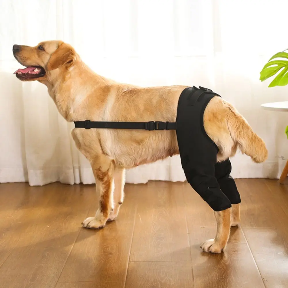 Knee Hip Joint Protect Pet Knee Pad Joint Injury Recovery 4Size Legs Protector Torn Hind Leg Cloth Brace Wrap Belt Dog