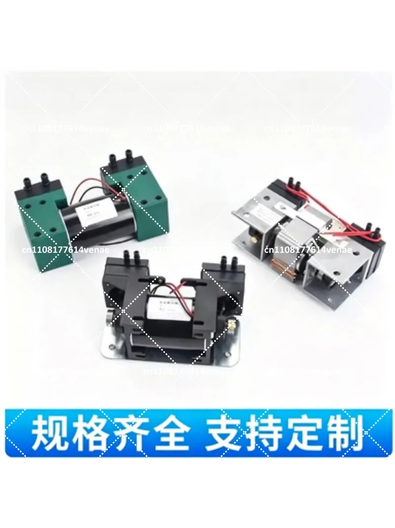 12V 220V Miniature Vacuum Pump High Positive Negative Pressure Large Flow Dual Head Diaphragm Pump for Beauty Instrument Mute