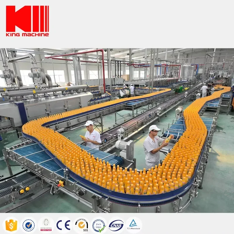 2026 Hot Full Auto Small Bottle Juice Hot Filling Packaging Machine Fruit Juice Making Processing Plant Price