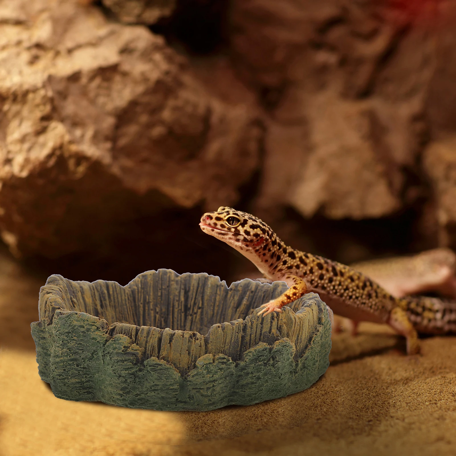 

Large Water Basin Feeding Pot for Lizard Spider Reptile Food Bowl Pet Supplies Habitat Accessories Crawling Pet Feeder Reptile