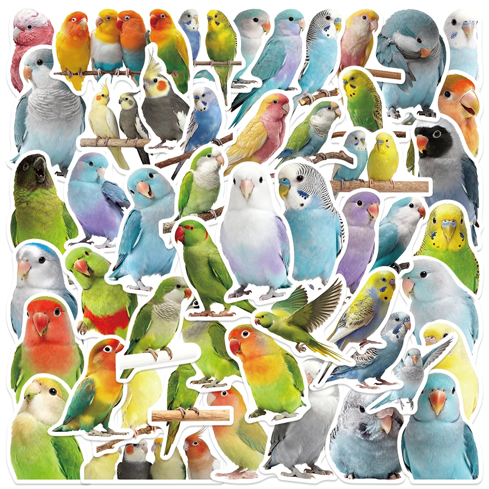 50 Stück niedliche Papageien-Vogel-Aufkleber, schöne Cartoon-Aufkleber für Wasserflaschen, Laptops, Telefone, Gepäck, Schlafzimmer, Party-Dekoration