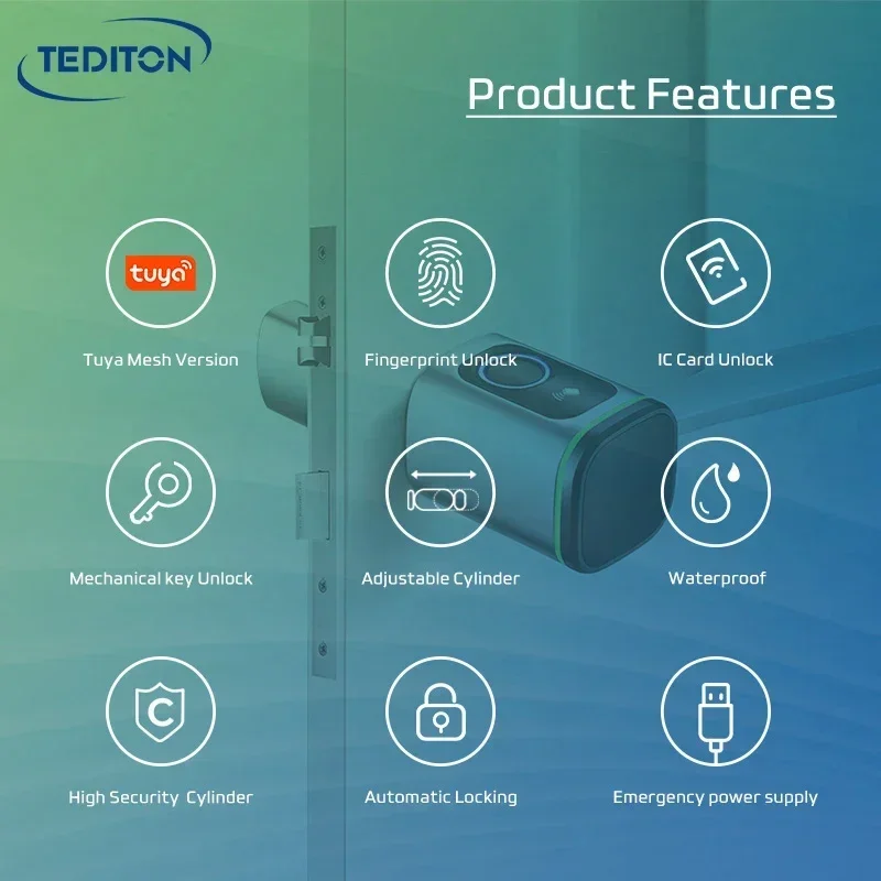 New Tediton Cerradura Wifi Tuya Wifi Portable Intelligent Biometric Fingerprint Cylinder Lock Tuya Digital Smart Lock