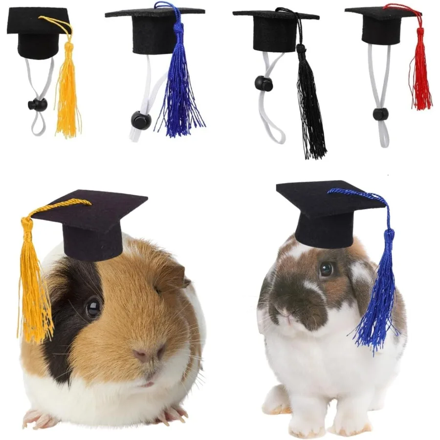 

4-упаковка выпускных шапочек с маленькими животными, мини-мальчишские шапки с яркой кисточкой для морских свинок, птичьих черепах, хомяков, бородатых драг