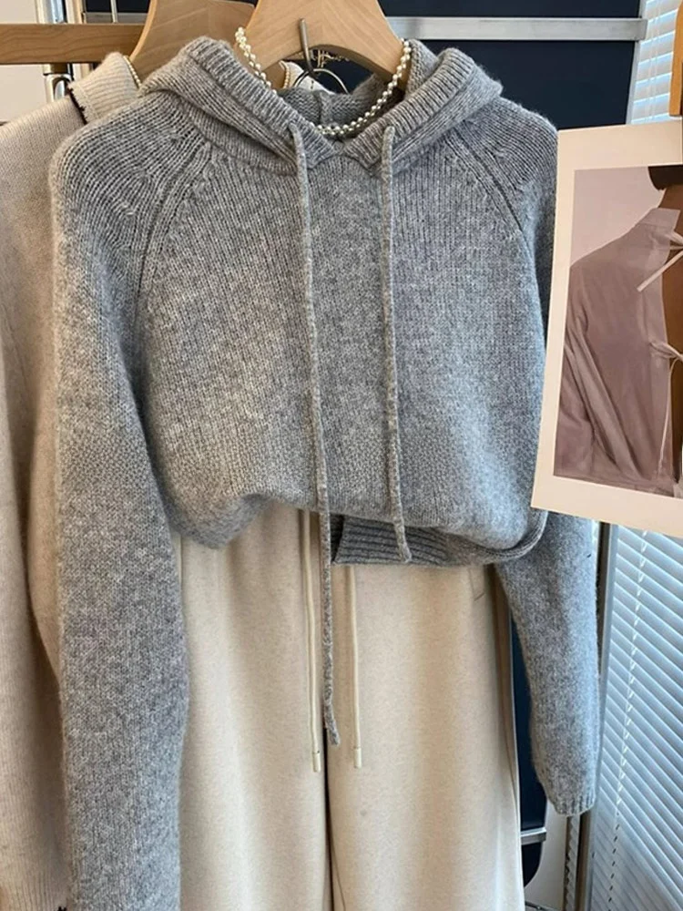 Cómoda suéter con capucha de Color puro Dstring largo Sve Overhead Simple coreano Sle adelgazante Top de punto para mujer