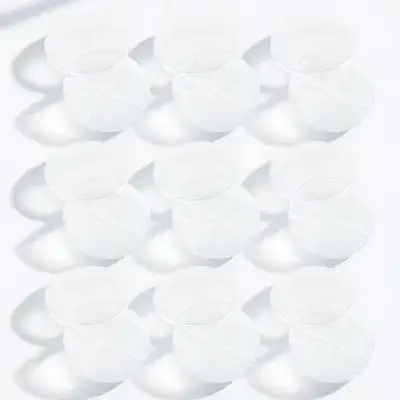 

10pcs Cell Culture Petri Dish Four Compartments Transparent Plastic Scientific Experiment Tool For Lab Biology Research School