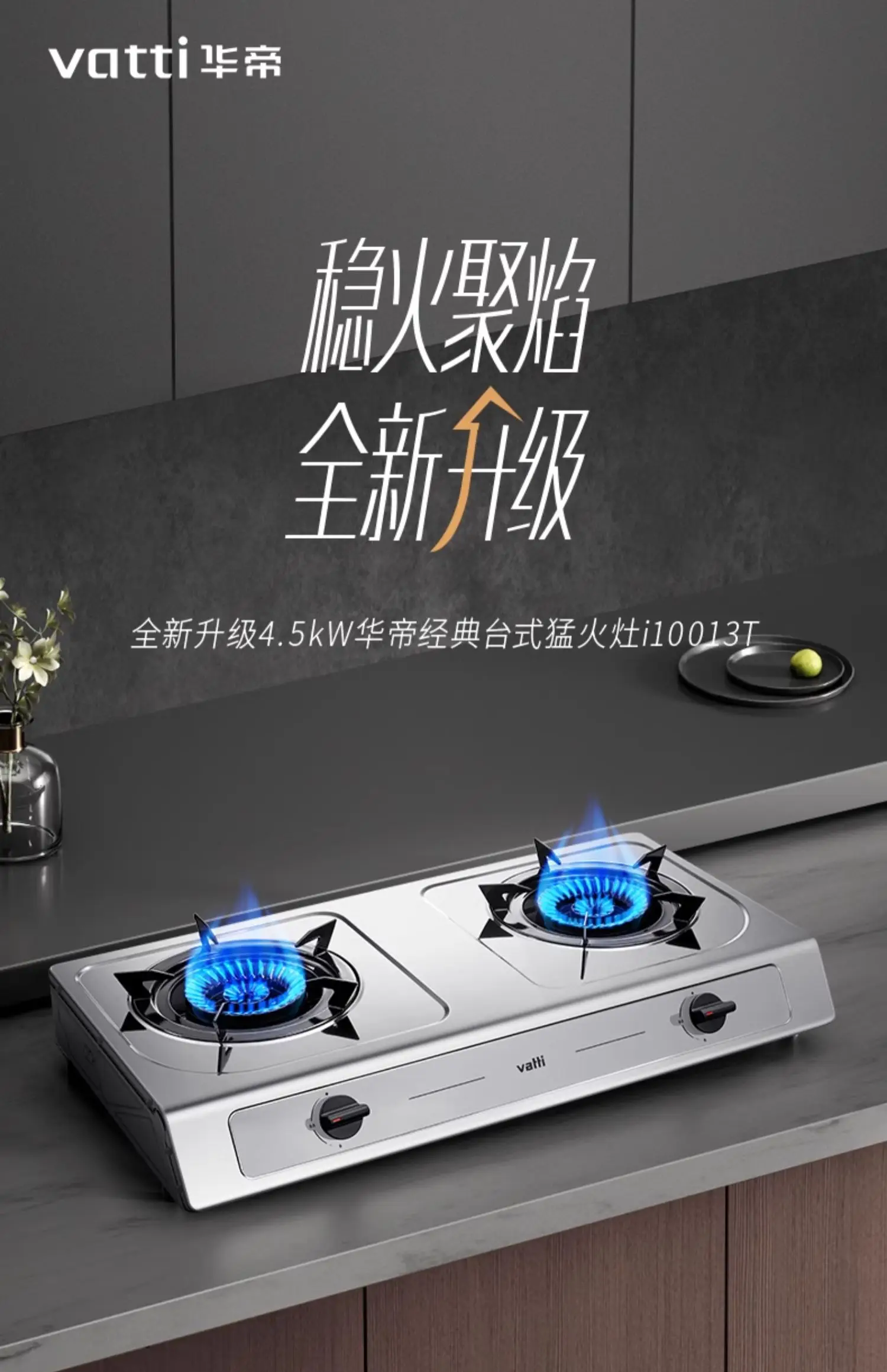 Gas stove i10013T household desktop natural liquefied gas 4.5kw fire double stove stainless steel panel 75