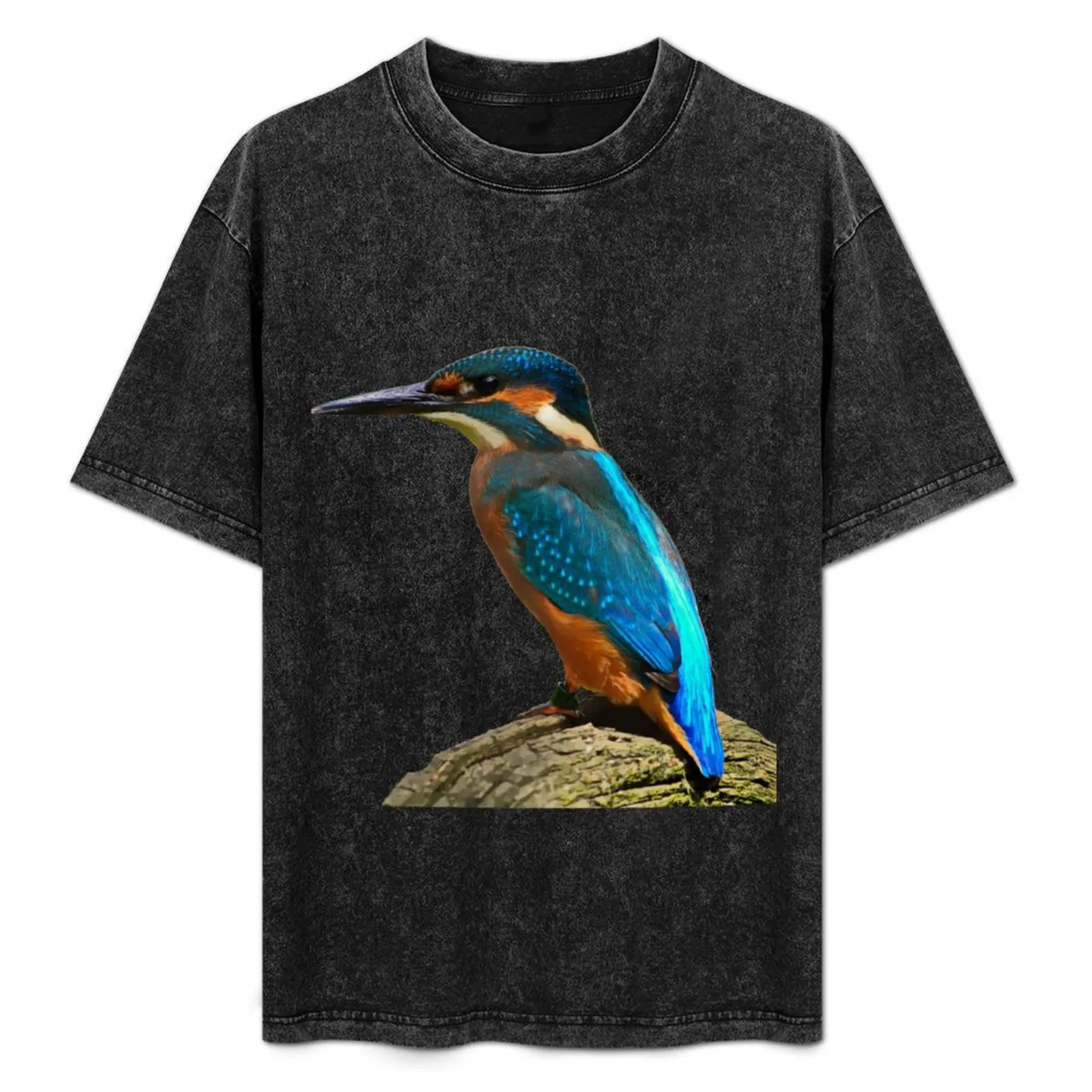 kingfisher T-Shirt Quick Dry Sports Short Sleeve Tee