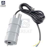 JT-500 Water Pump DC12V 24V 17W DC Submersible Pump Micro Pump Equipment Pump Straight Pump 5m 10L/M