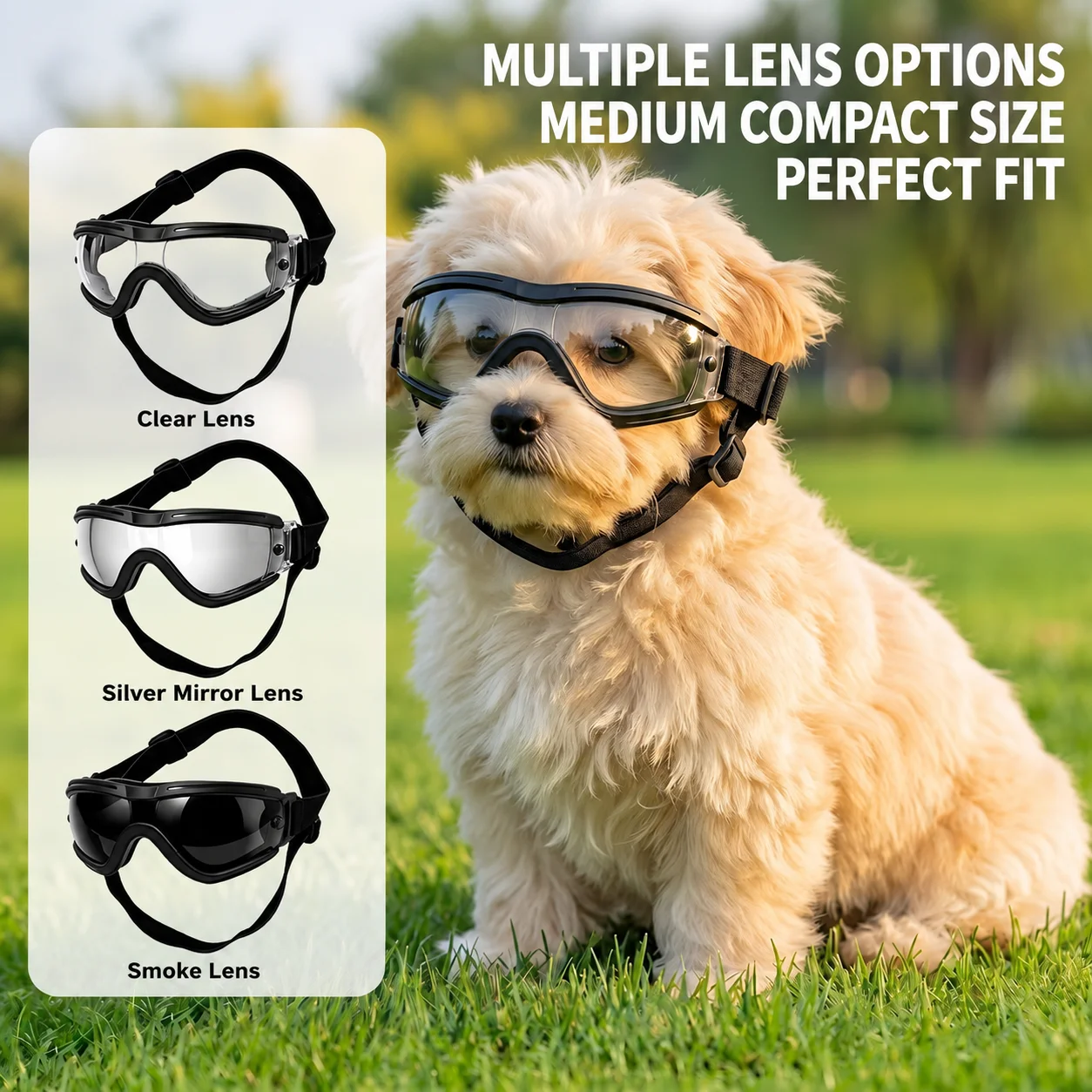 Dog Goggles for Small Medium Dogs UV Protection Windproof Pet Sunglasses Adjustable Strap Puppy Eye Protection Glasses