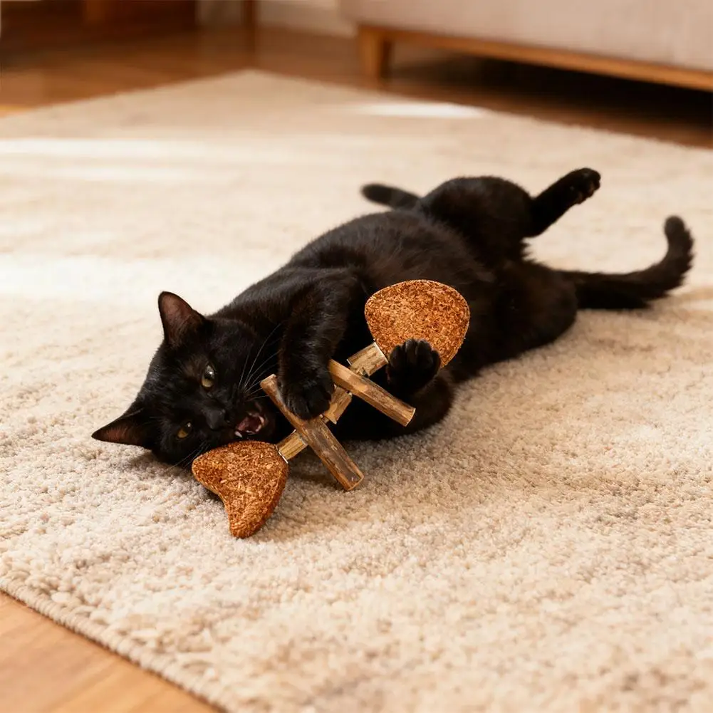 Natural Catnip Fish Bone Cat Molar Toothpaste Stick Silvervine Actinidia Fruit Matatab Small Pet Toy Kitten Snack Stick