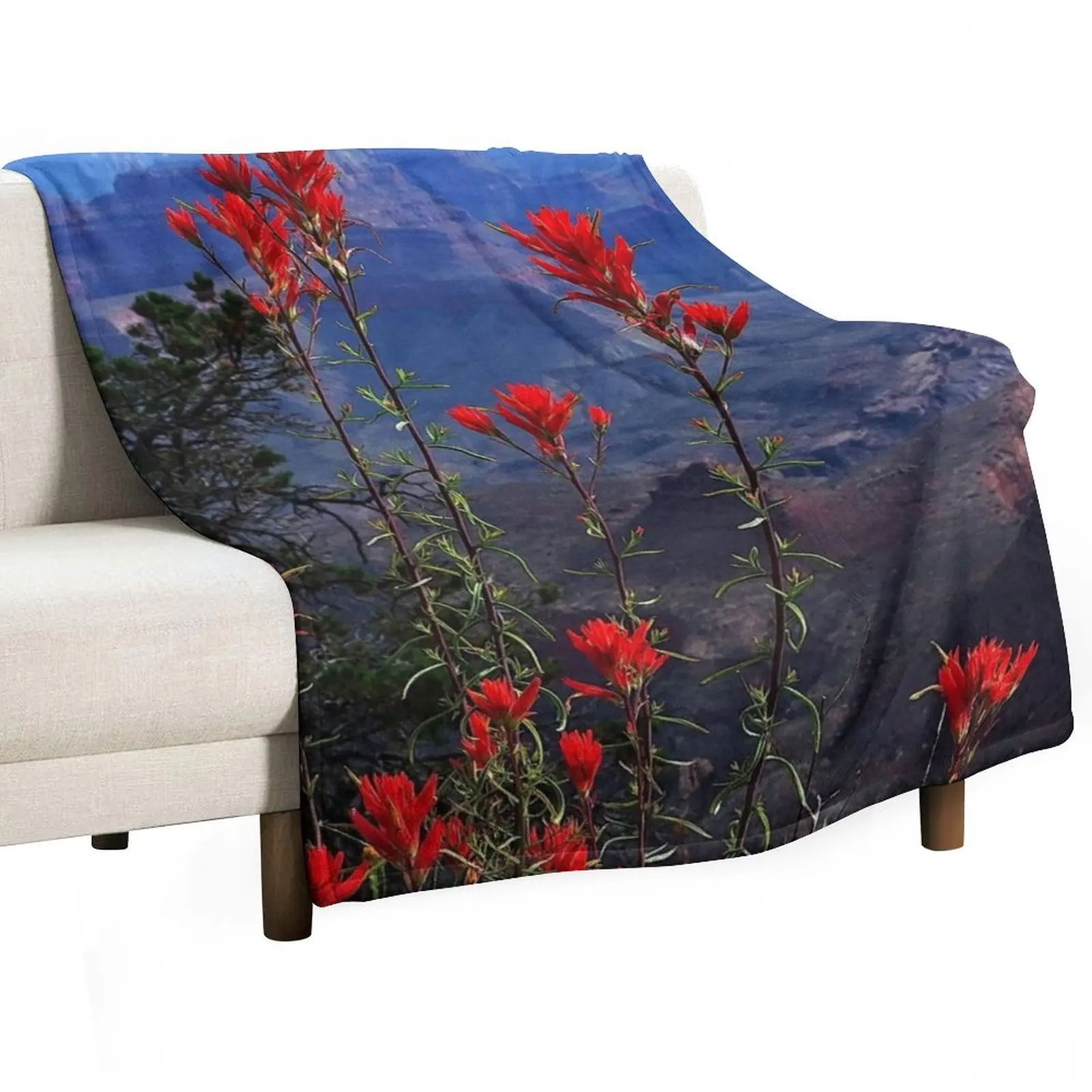 Desert Paintbrush Wildflowers Grand Canyon Arizona Throw Blanket Personalized Gift Thermal Bed Blankets