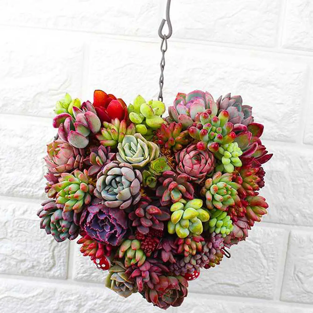 

2 шт. подвесных корзин в форме сердца с железным каркасом для растений, для декора сада в помещении и на улице, для композиций из сухоцветов и суккулентов