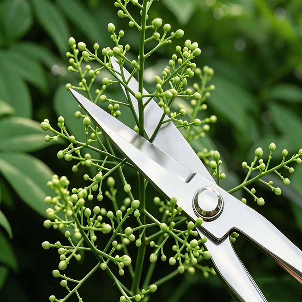 Thumbnail 3 - #32 Compare Pruning Shears Cutters Before You Buy