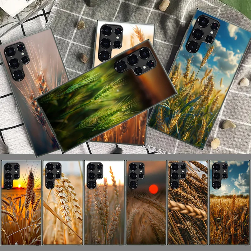 Mature Wheat Grains Coque For Samsung S23 S22 S24 Ultra 5G TPU Phone Galaxy Cover S21 S20 FE S10 Plus S10E S9 S8 S7 Edge Case Tr