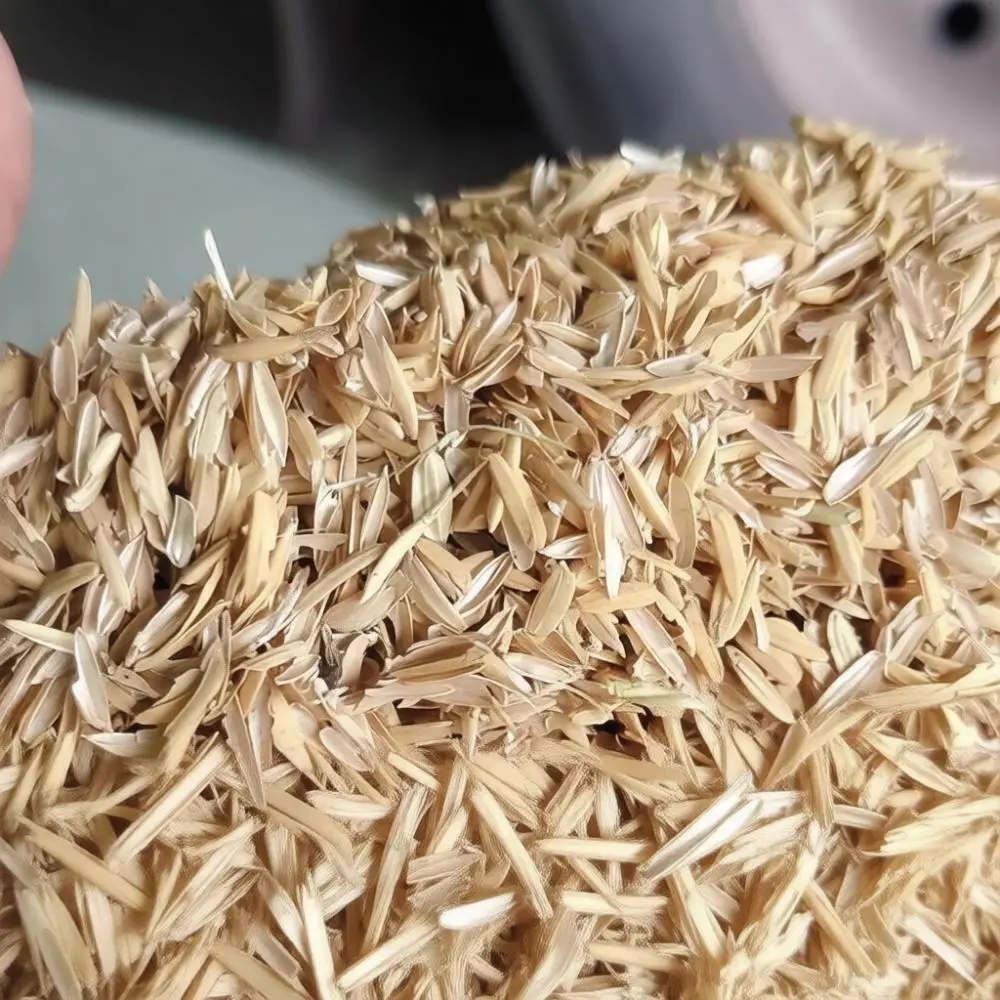 Pure Rice Hulls Natural Filling For Bedding Pillows Gardening Mulch Pet Cage Litter Brewing Fermenting Materials