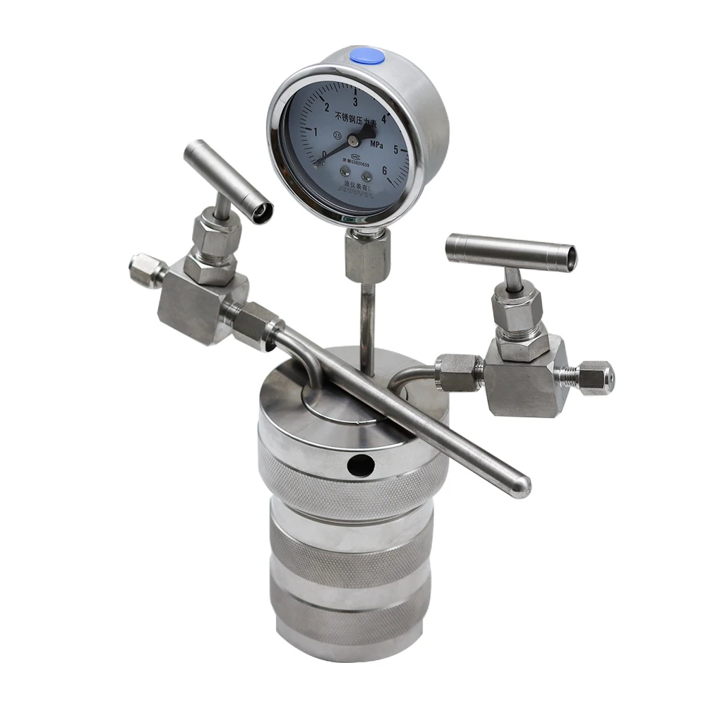 25ml Hydrothermal Synthesis Autoclave Reactor Vessel + Inlet Outlet Gauge 25ml 6Mpa Tool Instrument