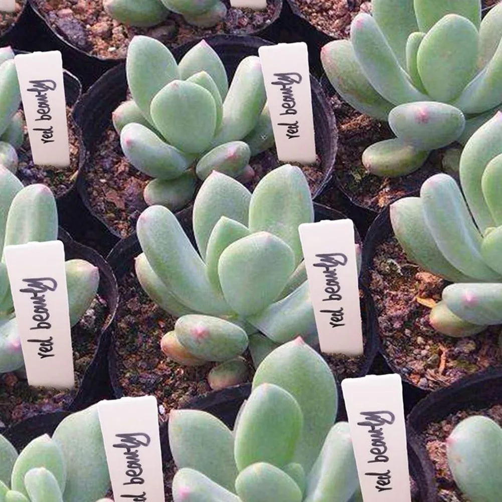 100pcs Plant Label White Waterproof Plastic Flower Pots Garden Labels Gardening Plant Nursery Markers Label Tray Mark DIY Tool