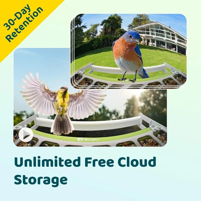 وحدة تغذية الطيور الذكية مع كاميرا، وحدة تغذية معدنية متينة للاستخدام الخارجي، وتحديد تلقائي وتسجيل الفيديو، وتنبيه فوري #6