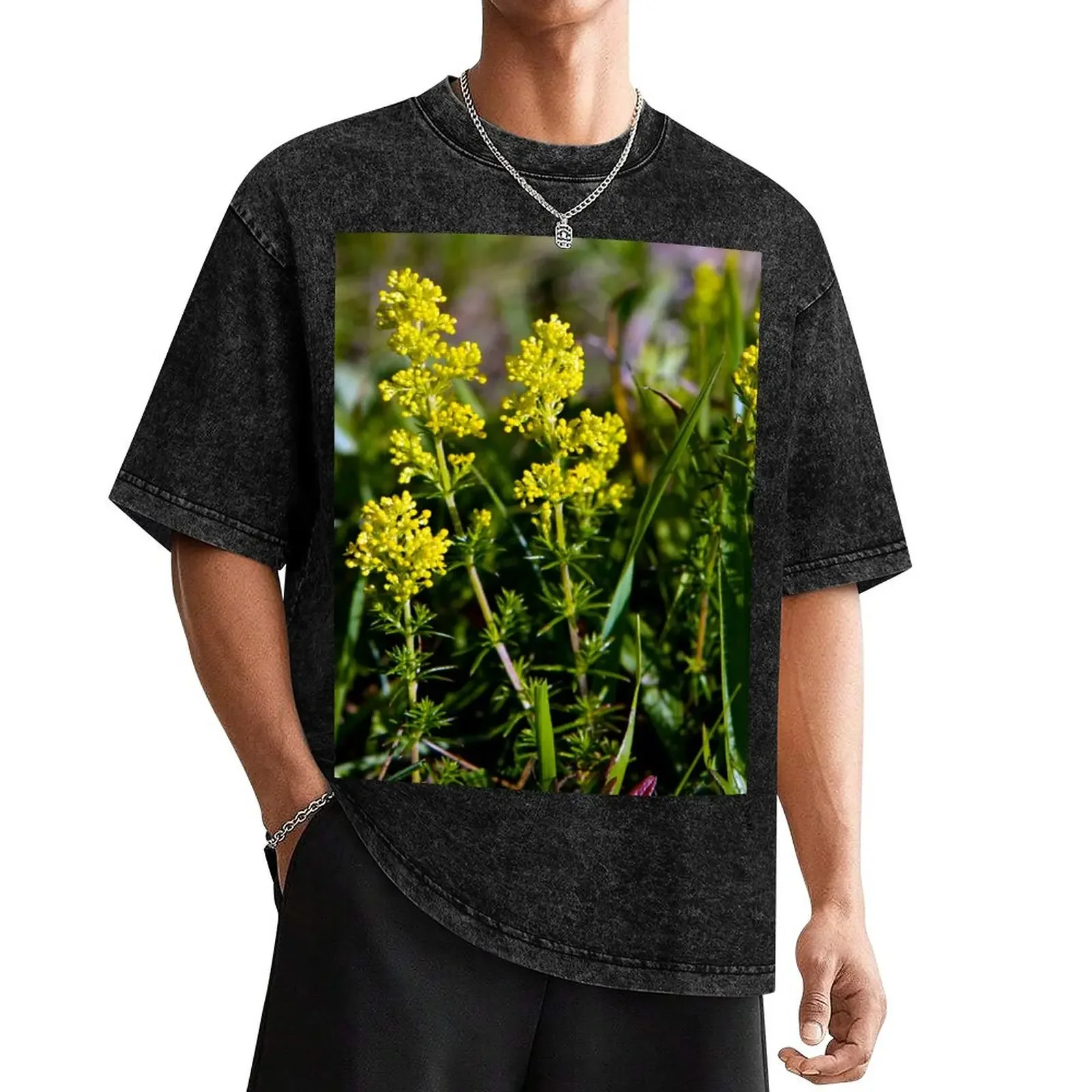 

Galium Verum (Lady’s Bedstraw), Inishmore, Aran Islands T-Shirt new edition summer clothes mens graphic t-shirts funny