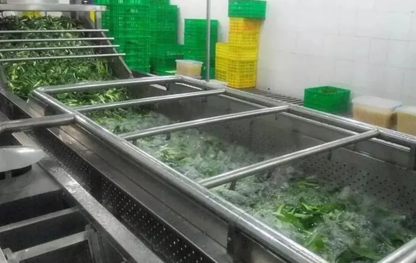 さまざまな食品、産業向けにカスタマイズされた果物と野菜の泡を備えた超音波洗浄機