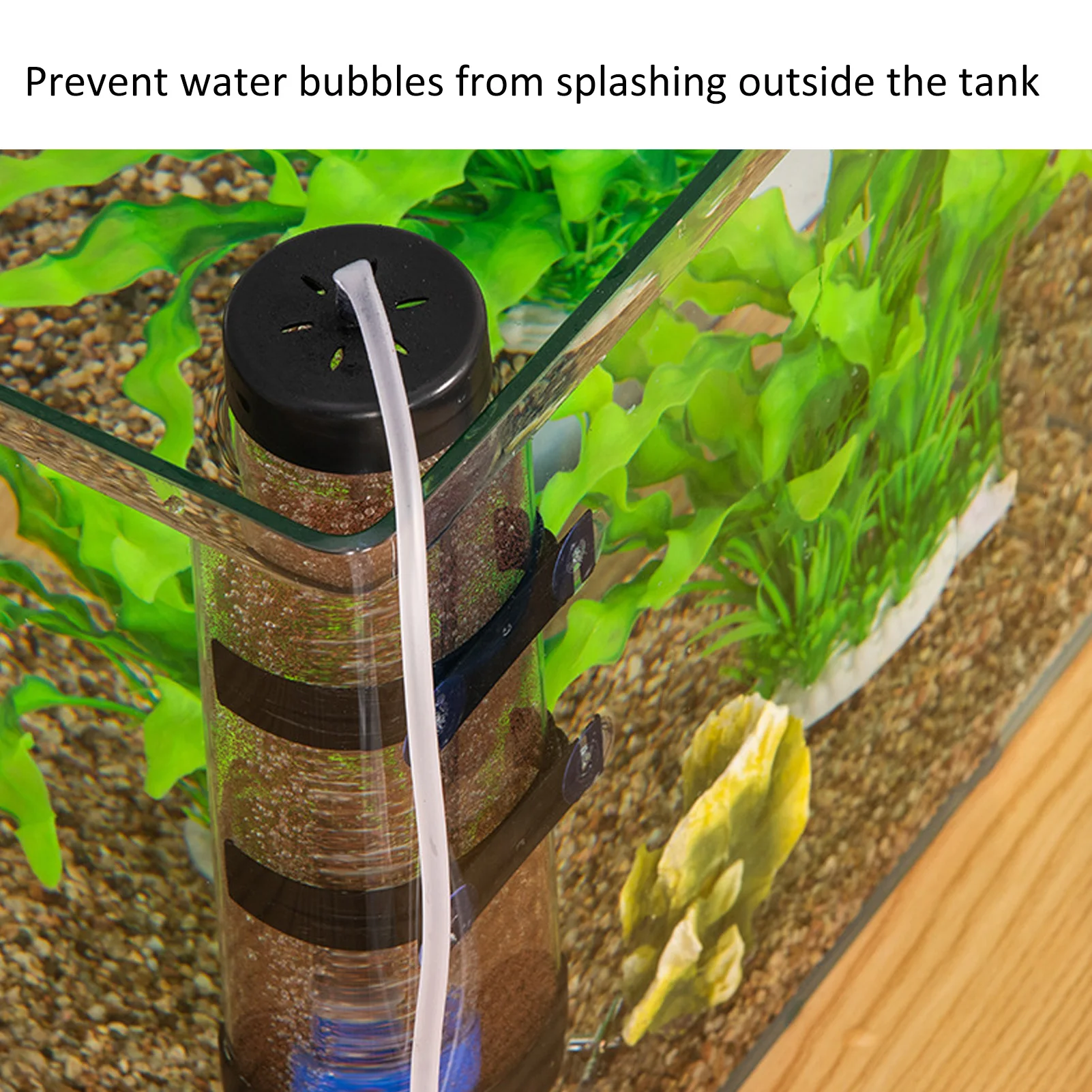 어항용 아르테미아 알 부화기, 새우 알 부화기, 어류  - Aquarium Fish Eggs 리뷰 및 가격