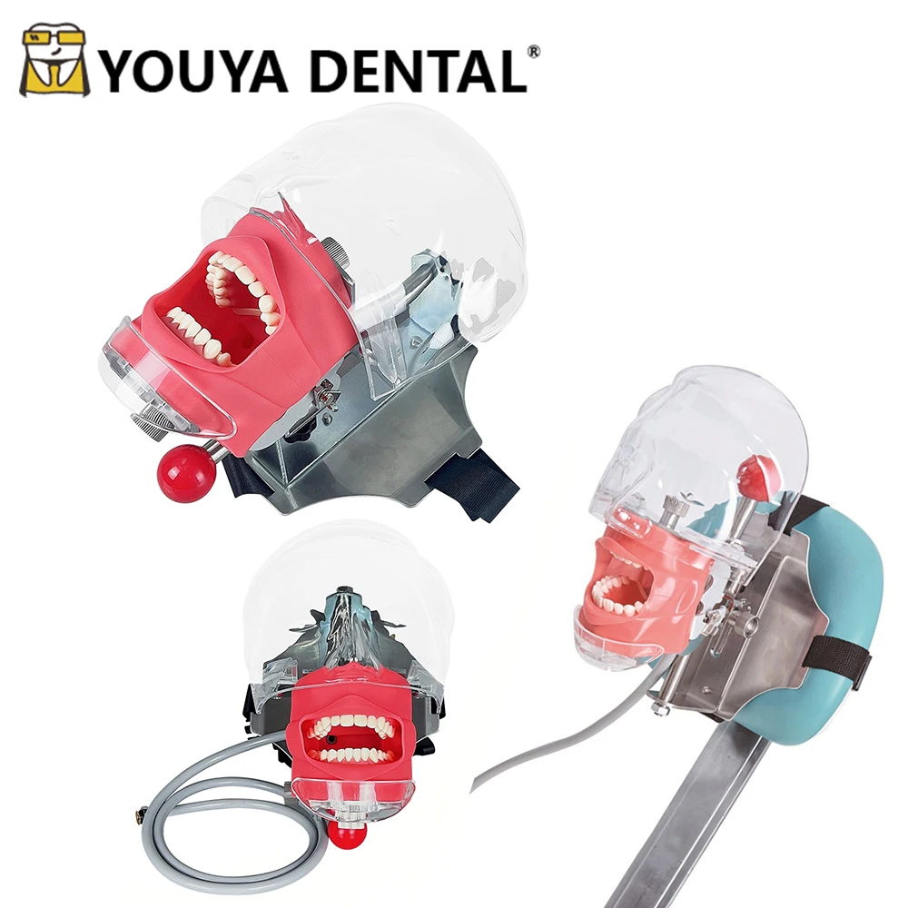 

Detachable Dental Simulator Head Model Phantom Head Can Be Installed On The Pillow Of The Dental Chair