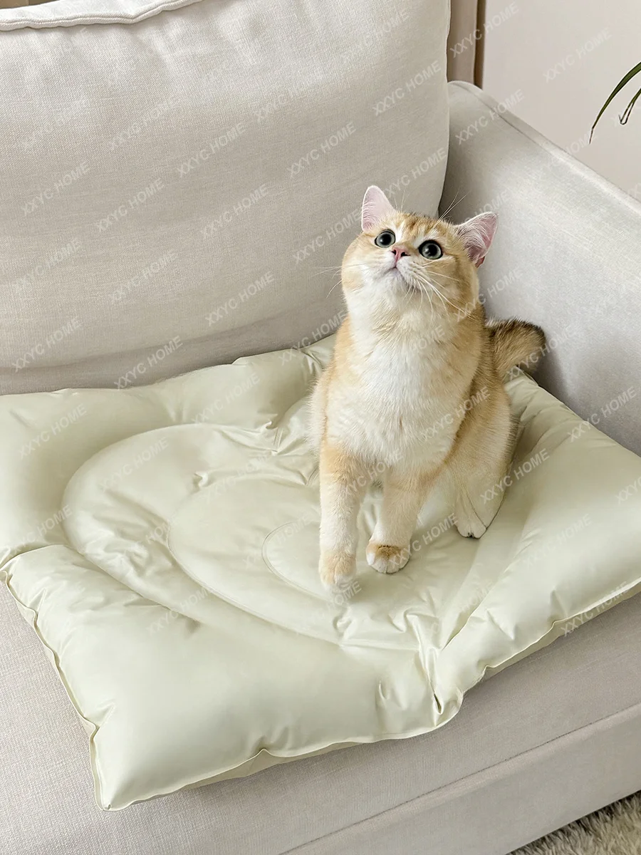 Liefde Huisdier Ijs Pad Kat Zomer Kattenbakvulling Hond Mat