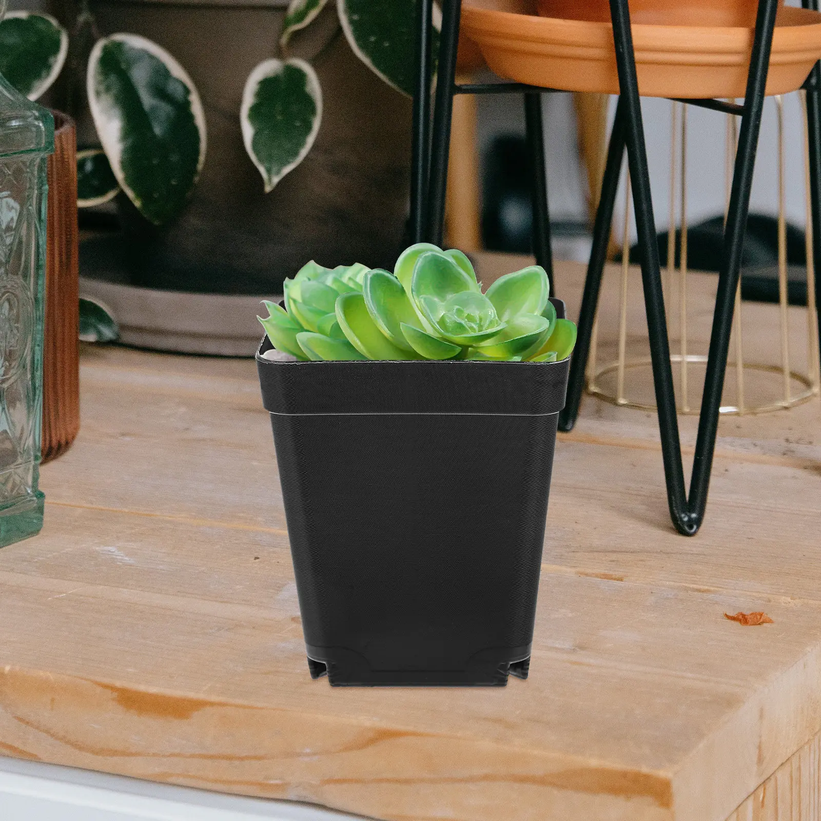 

50 шт. миниатюрных пластиковых горшков для бонсай с дренажными отверстиями для суккулентов, для балкона и сада