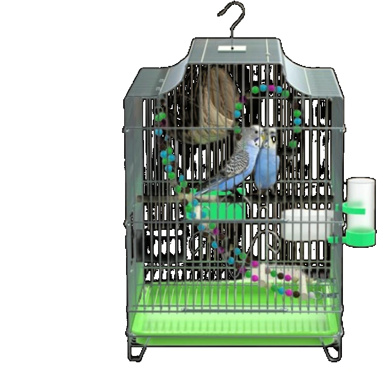 Carrier Myna Villa Bird Cage Canary Pigeon Speciality Home Accessories Bird Cage Hamster Jaula Decorativa Pet Products RR50BC