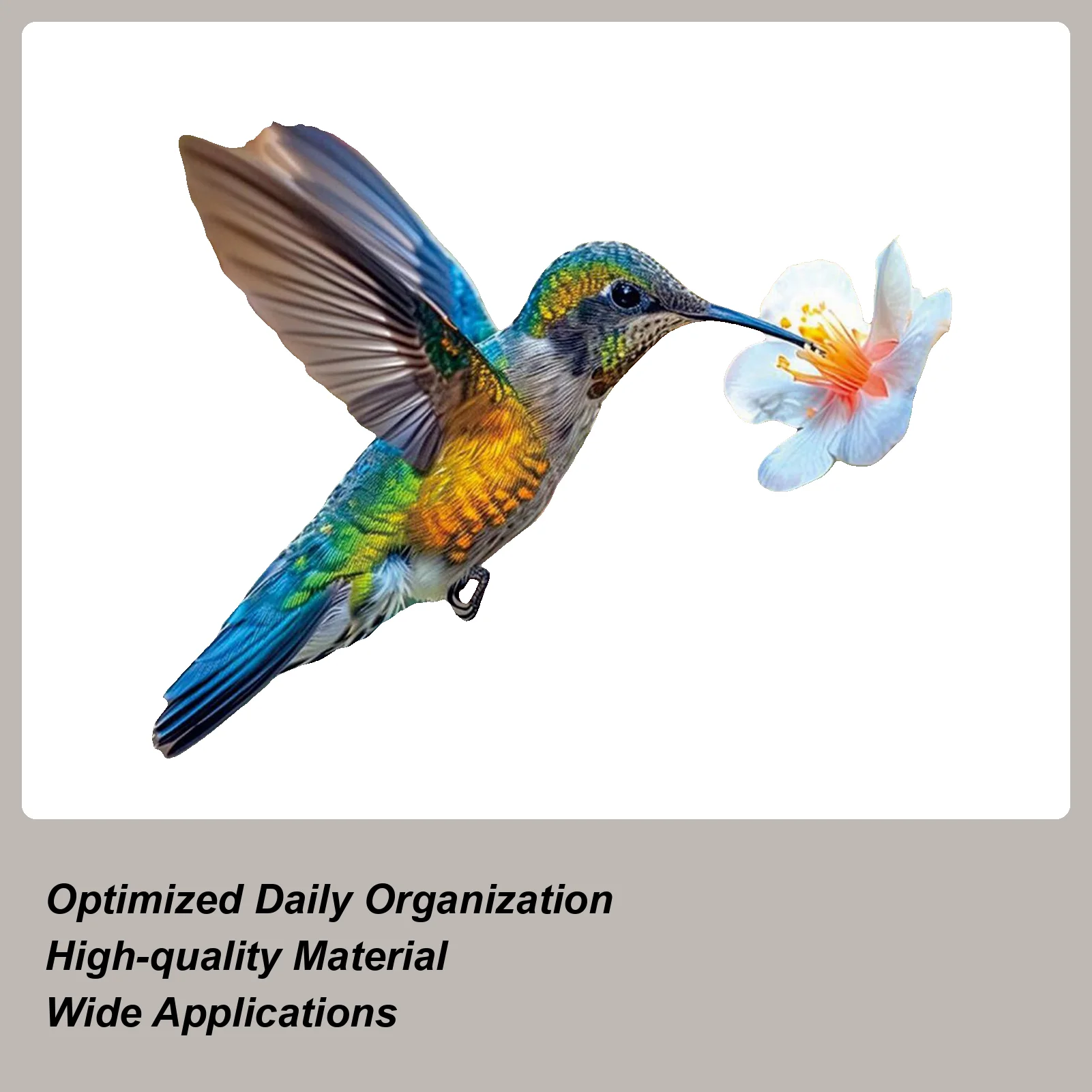 

Hummingbird Calendar 2026 13-Month Hummingbird Calendar For Home Jan 2026 Jan 2027 Schedule Organizer Planner For Wall Office