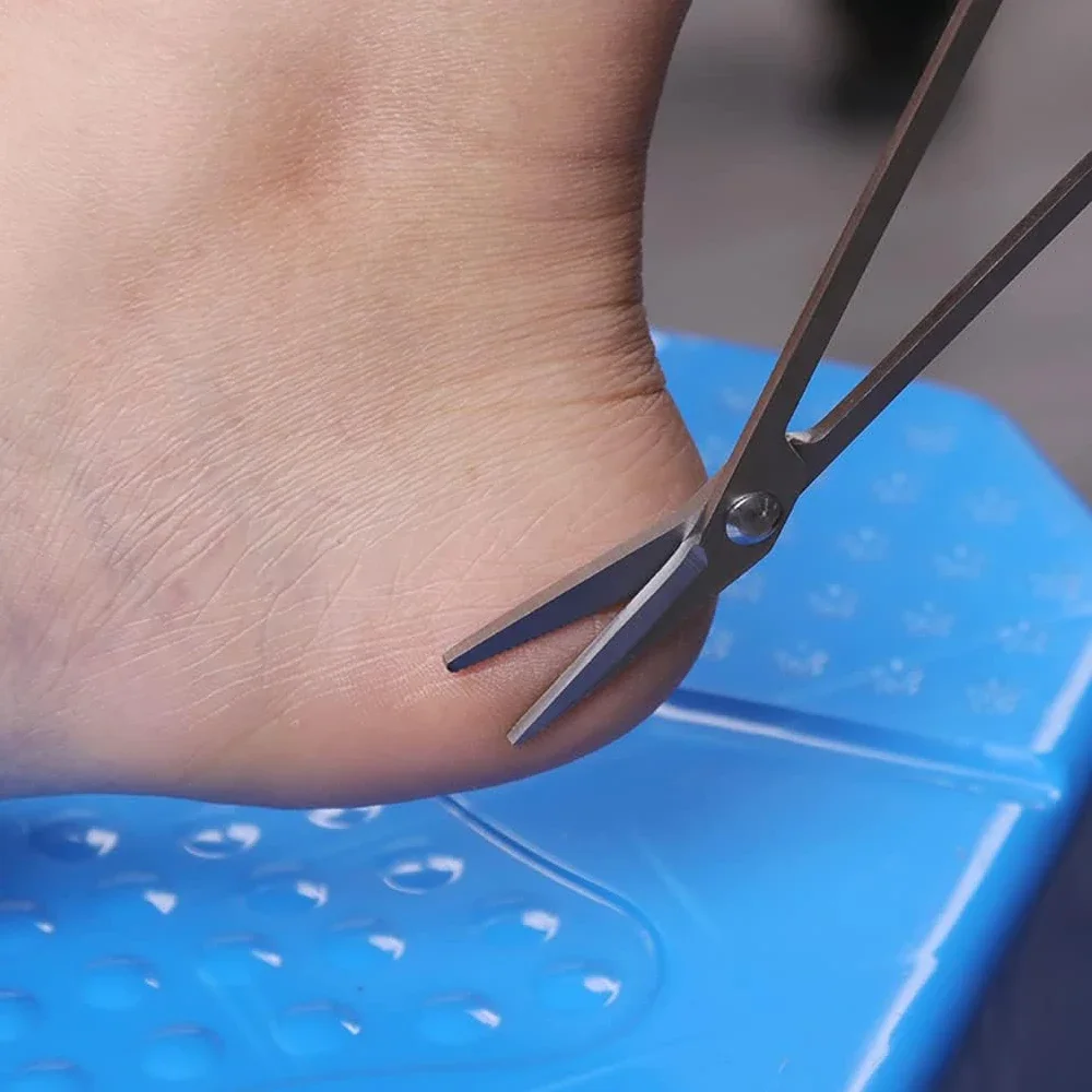 20 cm (7,87 '') Tagliaunghie grandi Punta curva Fasciatura Forbici per garza con manico lungo Strumento per pedicure manicure in acciaio inossidabile