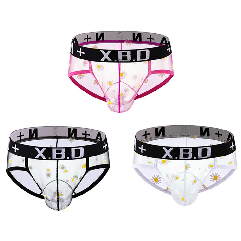 남성용 시스루 메쉬 브리프, 통기성 패턴 속옷, 섹시한 레이스, 친밀한 G-스트링 파우치, 비키니, 콕 파우치, 니커