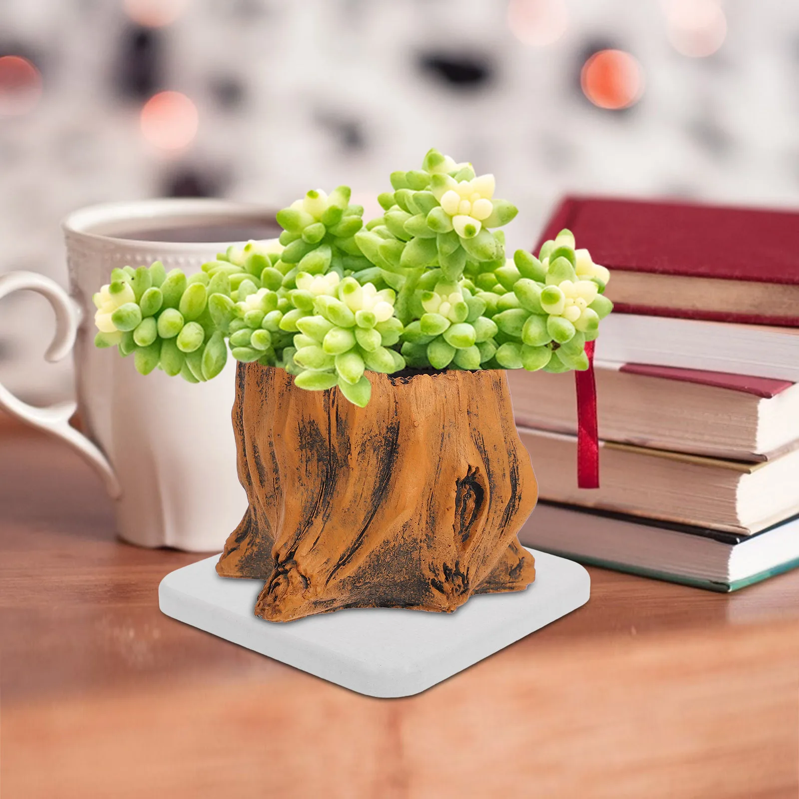 

5 Pcs Diatom Mud Flowerpot Mat Instant Drying Plant Tray Reusable Water Absorbent Coaster Indoor Planter Saucer Garden