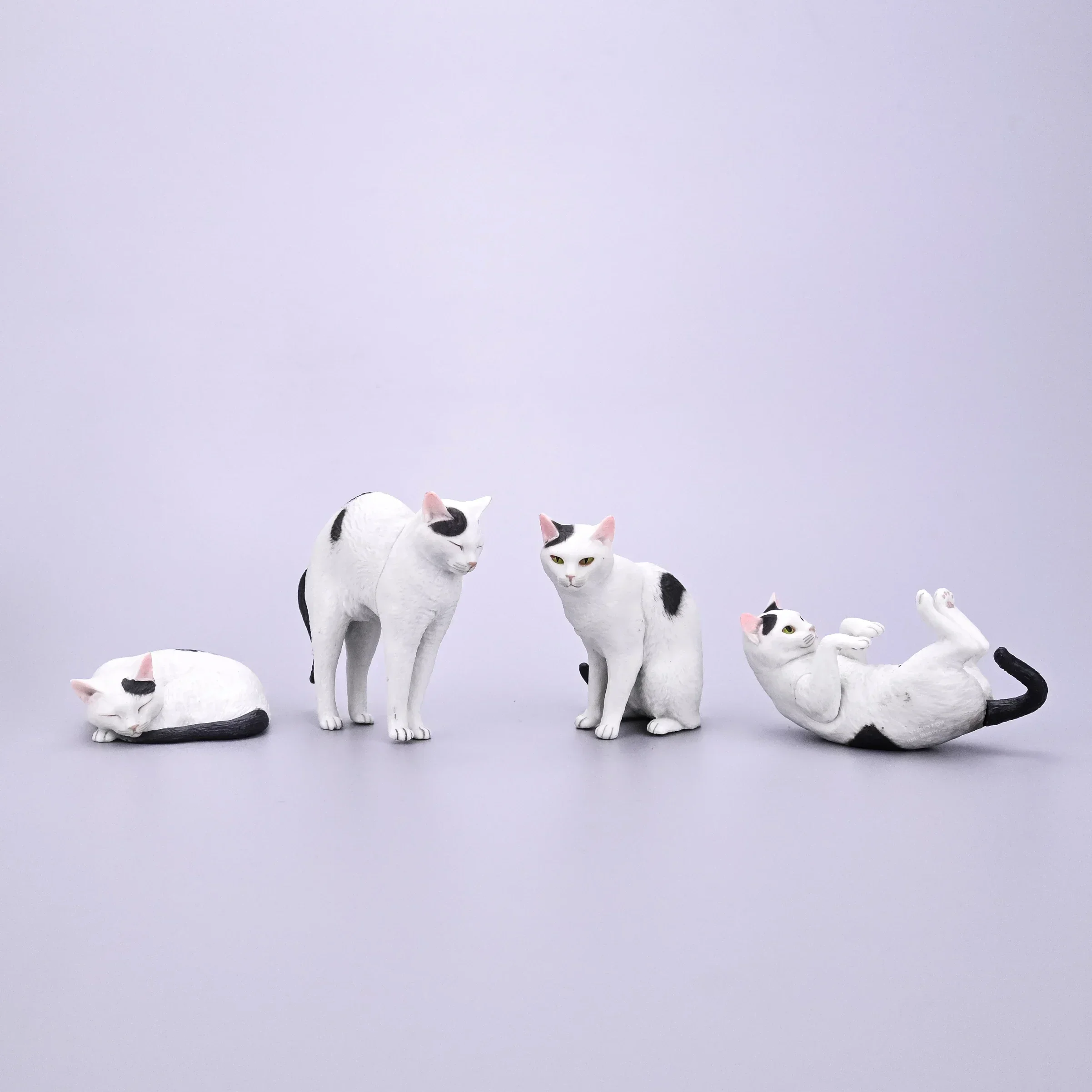 Kitan gashapon cápsula brinquedo osamu moriguchi gato figura moskot animal decoração de mesa modelo figura crianças presentes aniversário