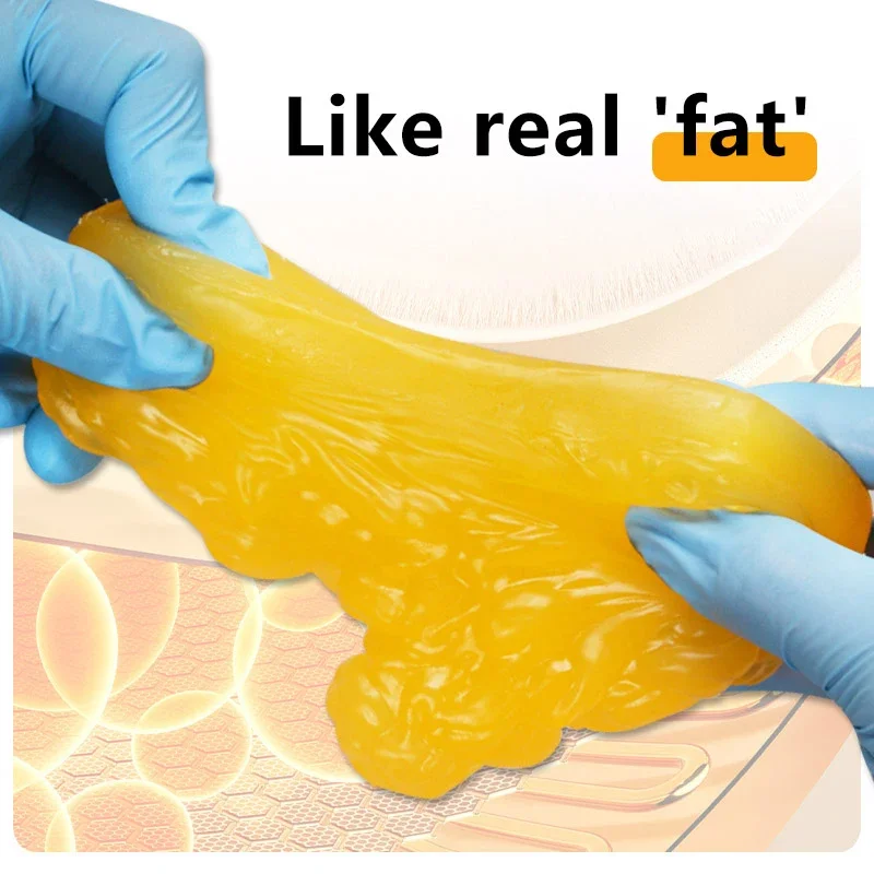 الدهون طبق الاصل نموذج الأنسجة الدهنية جسم الإنسان الدهون نسخة 1lb نموذج توضيحي الأنسجة الدهنية البشرية لدورة العلوم أخصائي التغذية