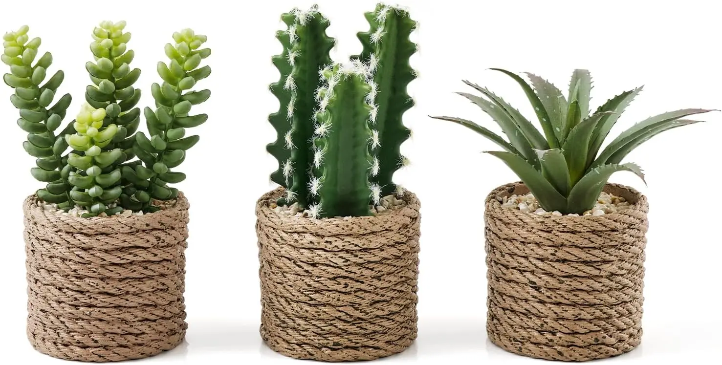 

Набор из 3 поддельных суккулентов в винтажных горшках — водонепроницаемый домашний декор для дома, офиса, стола