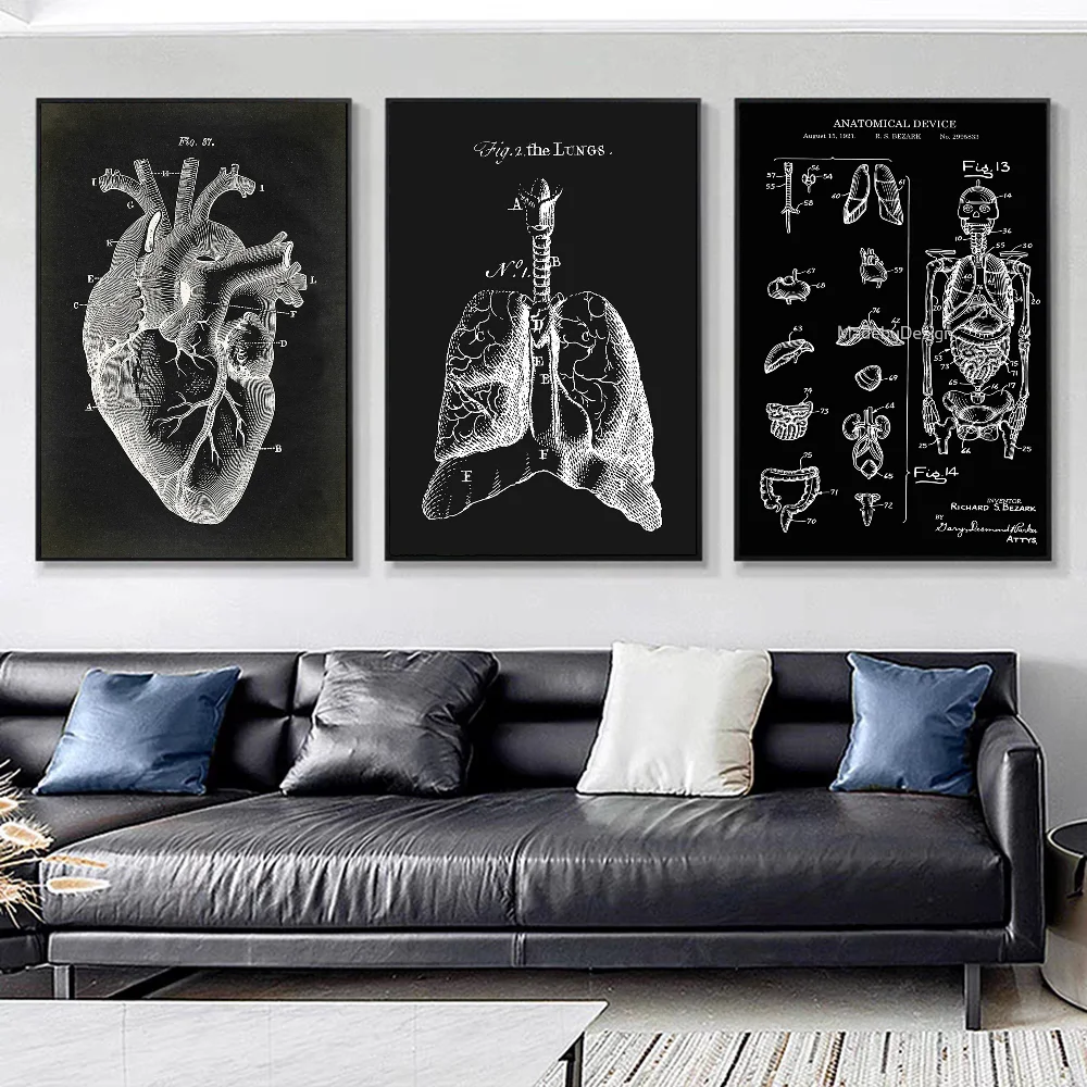 Human Anatomy Muscles System Art Whitepaper Poster HD Quality Poster Wall Art Painting Study Room Wall Decor view 3