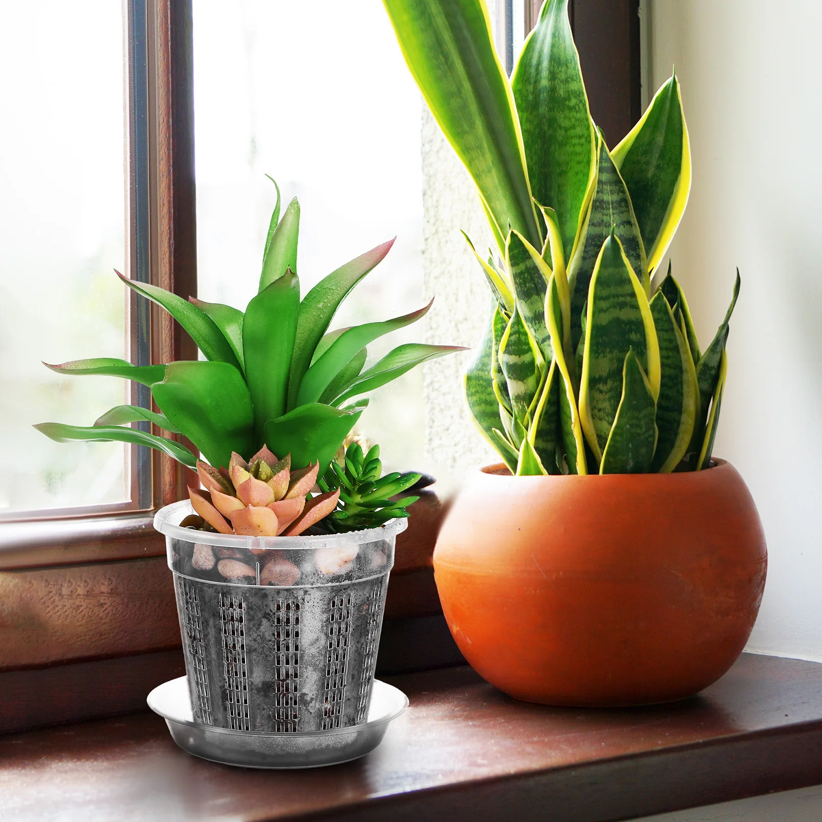 

8Pcs Hollow Flower Pots Clear Plastic Breathable Plant Root Control Pot for Orchids Succulents Indoor Outdoor Garden Drainage