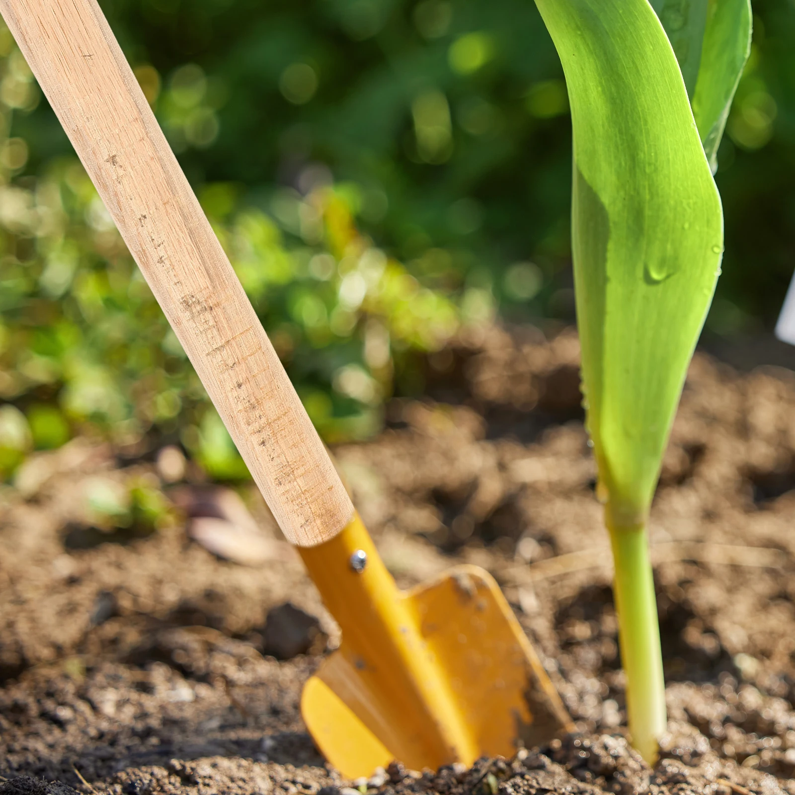 

Replacement Wooden Axe Handle 49.5cm Easy Installation Multitool Compatibility for Axes Hammers Wood Axe Handle