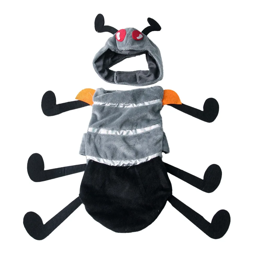 Simulation Ant Cost…